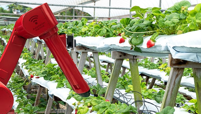 ¿Robots en el campo? | Syngenta